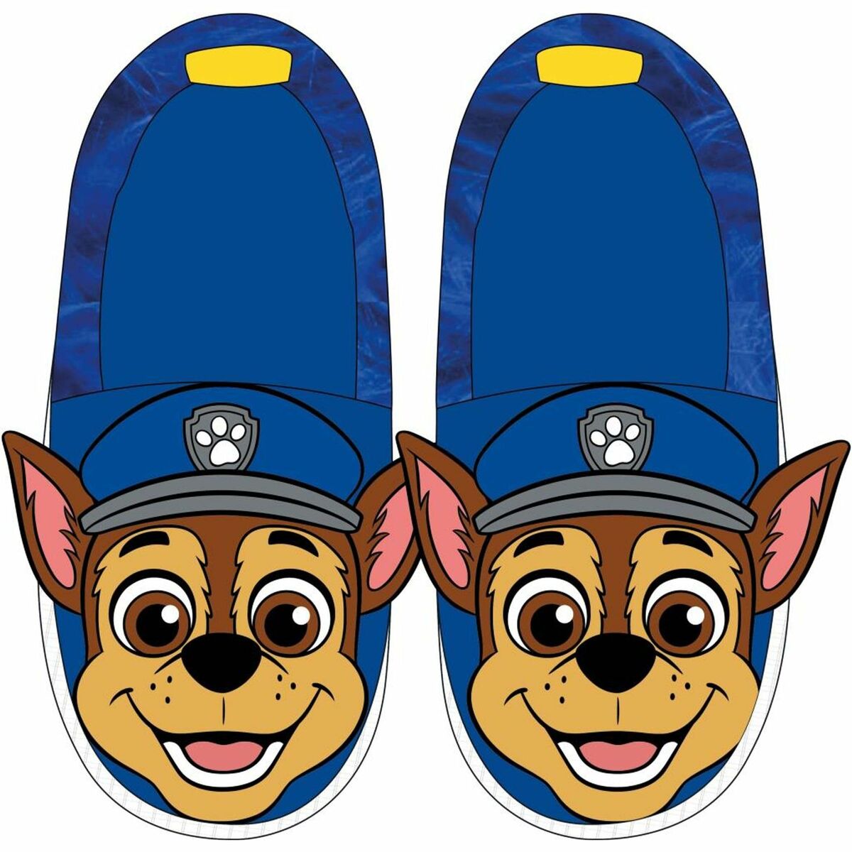 V5H9179DD3D108D148DFD38BC4975A290A1R7253070P9