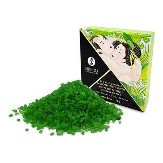 V12H4A7BF0B824CE15E897BF3769BABC364BR4378082P1