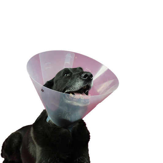 V10H4F6B74568F03747A073D224D261D4F91R3725519P1