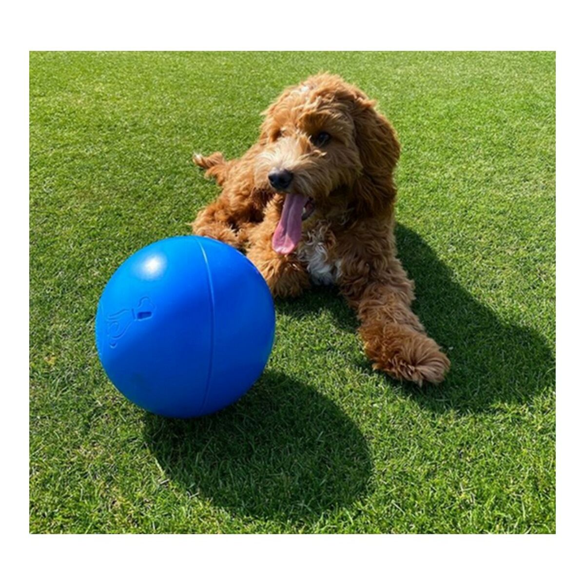 V13H5E0B17B7534EE2D0F2A1570277FB2B19R3931074P3