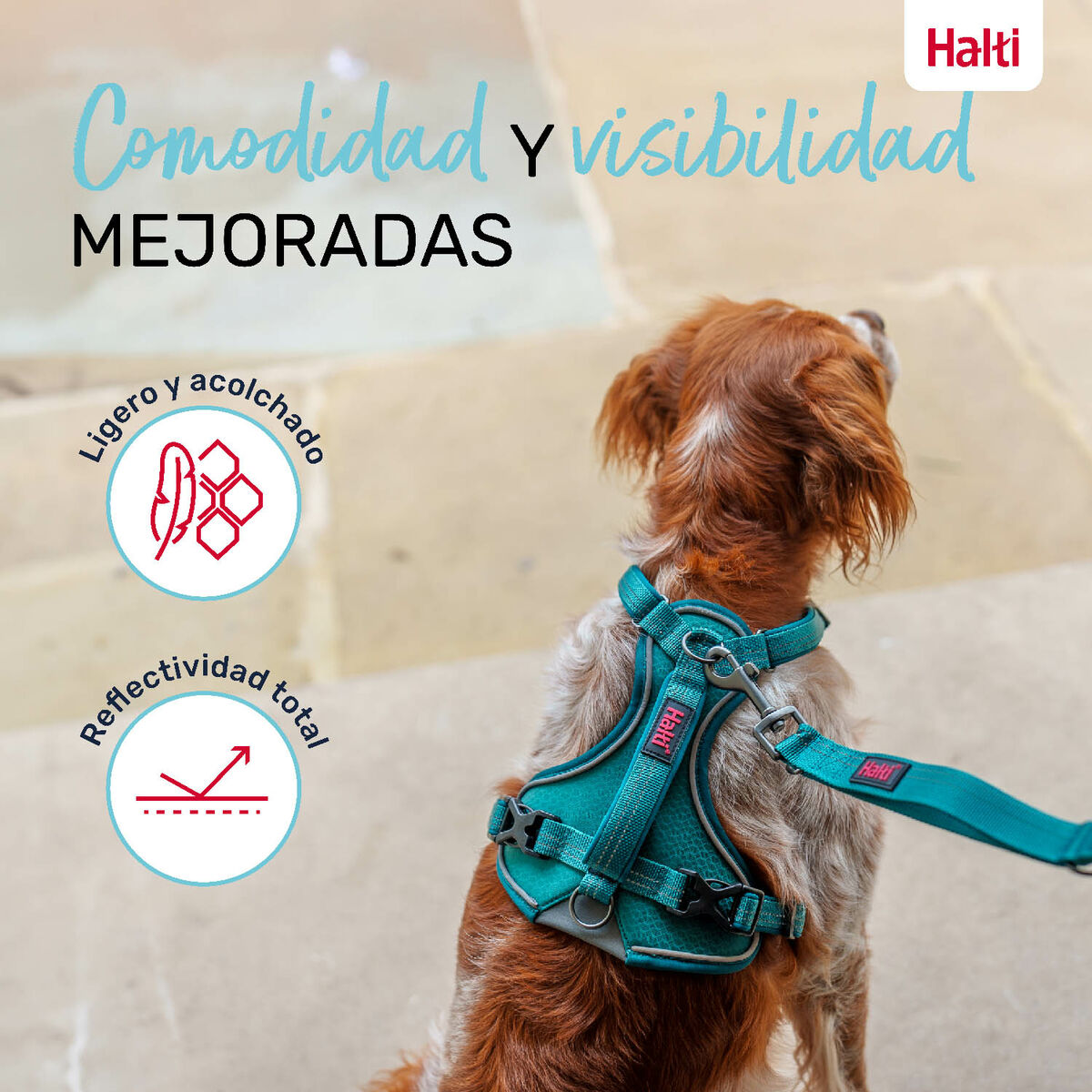 V6H42CADC1DD898B79666DE0AD3F904887ER5328499P5