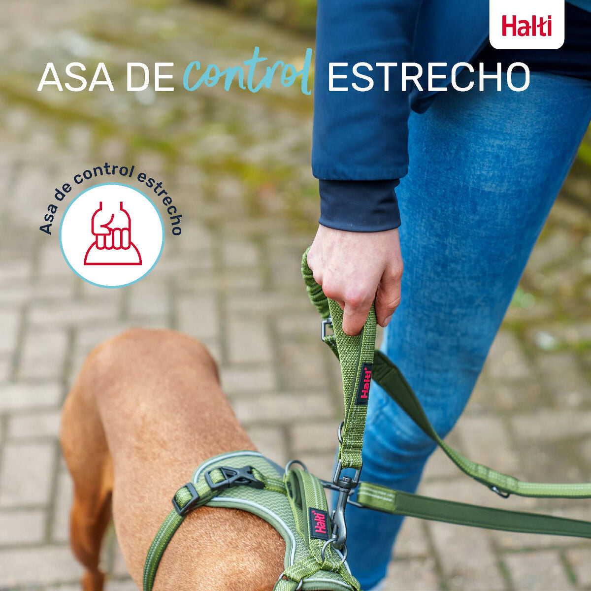 V6H12E2A41074C52E33F218CAE20093BD34R5328565P6