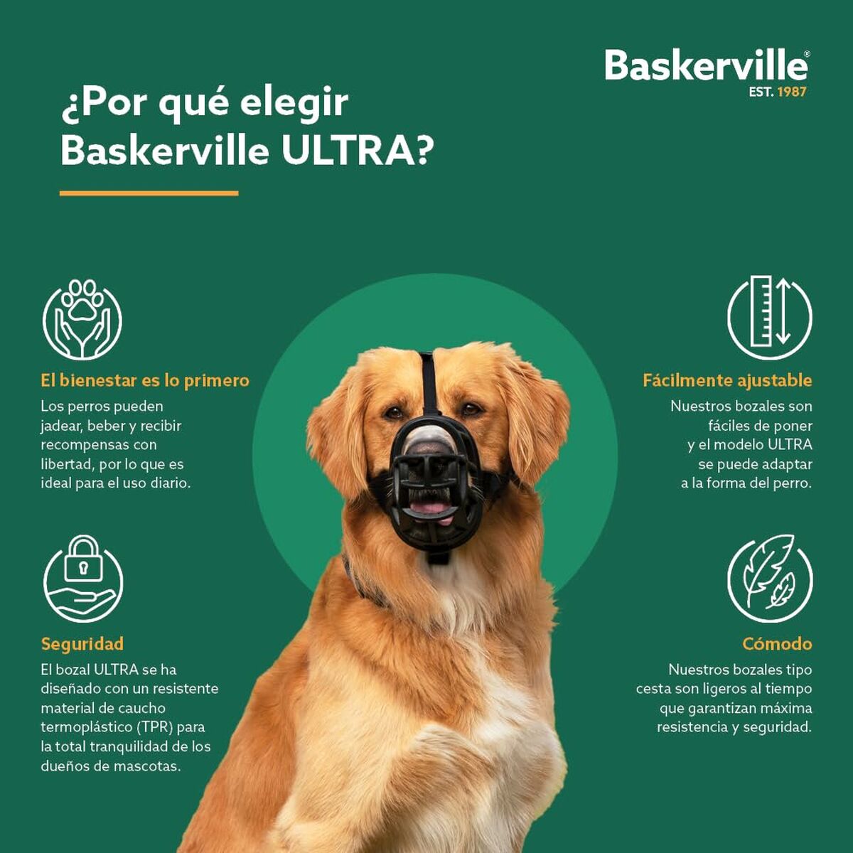 V6HD009D1EF9233DBE4FE1E1EC7A5AFFD29R5327555P7