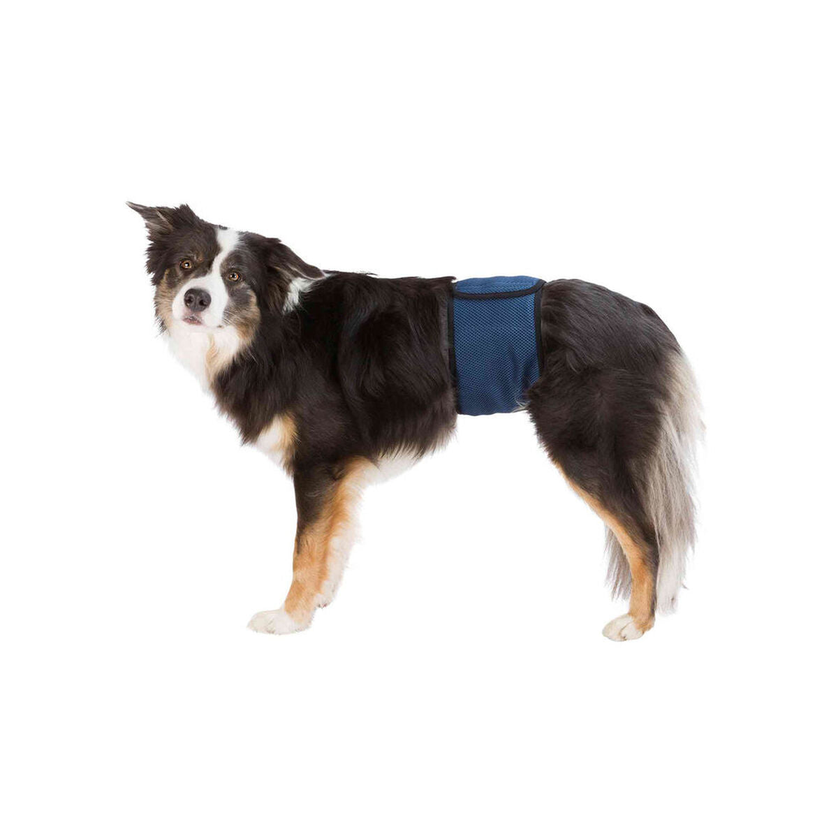 V7H98234137A69E1FD12657056C8FEC0CEBR7444027P1