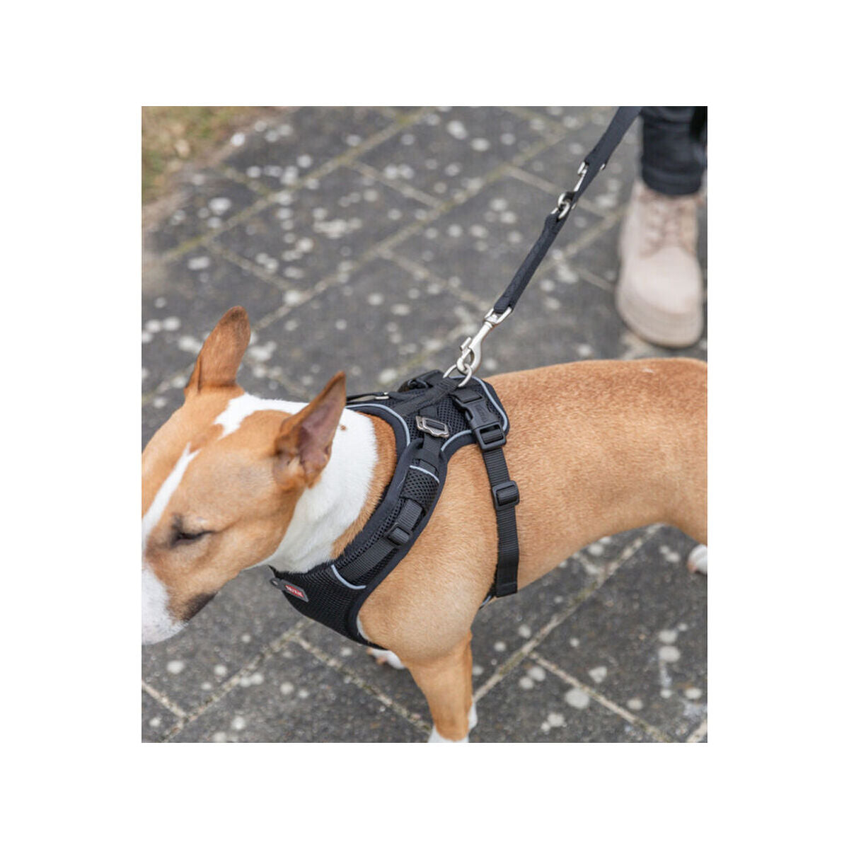 V5HBB6AD5CCFDEEC13125C3C5508EAC8C26R7450165P5