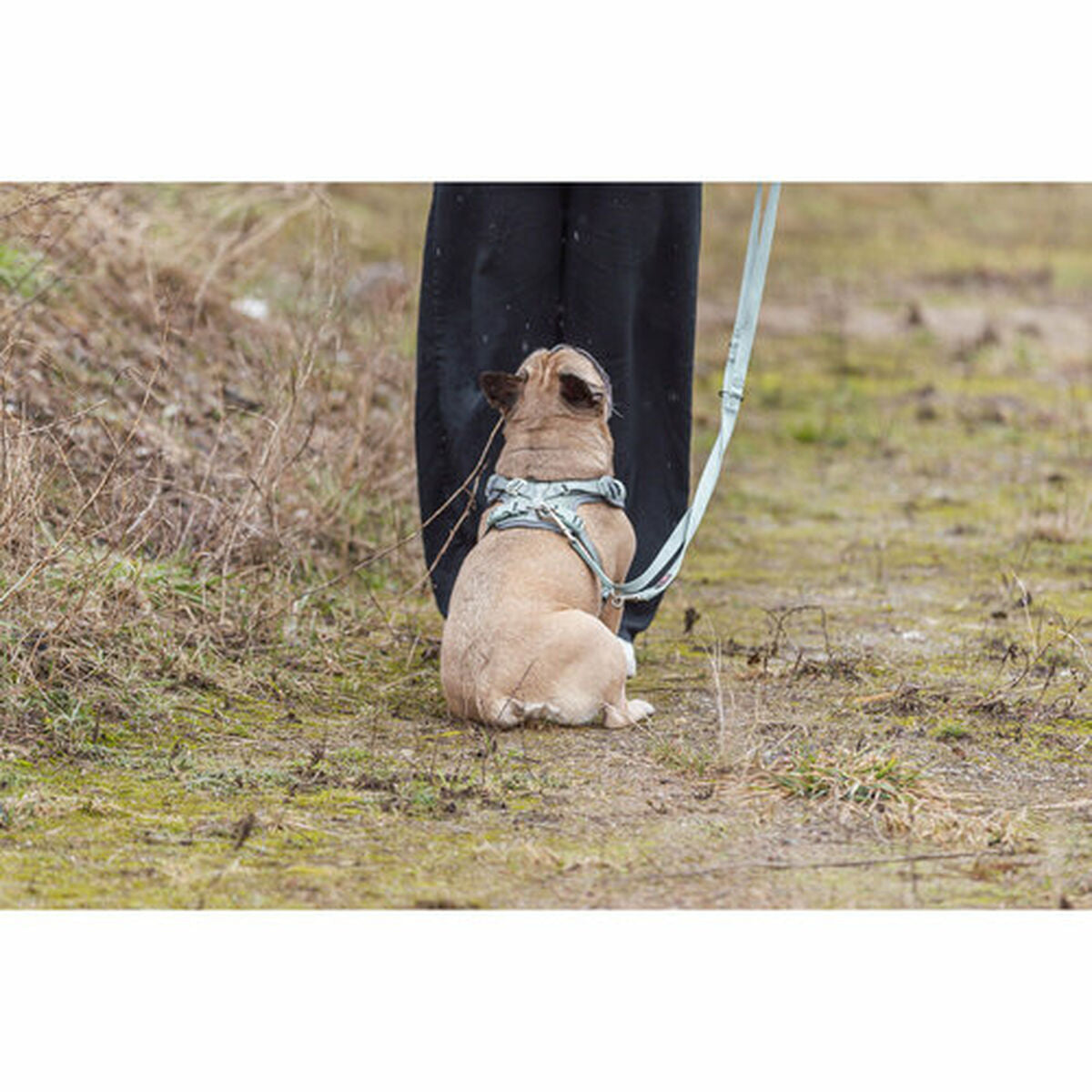 V5HF89867055396EE1DED71660FC4F75FAER7463908P6