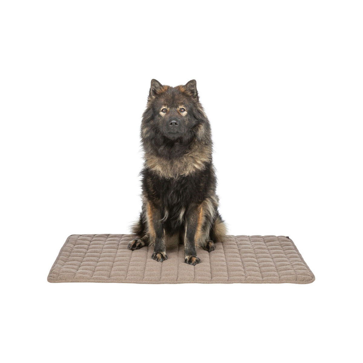 V5HDCAEF9CCF2EF64A792DE7D7DF731CE6ER7463651P7
