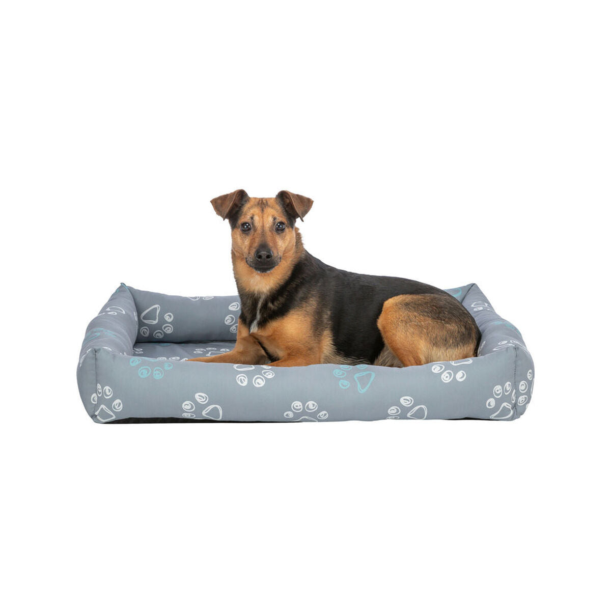 V5H28573BA08B7EC77AD5FC689641621585R7463660P7
