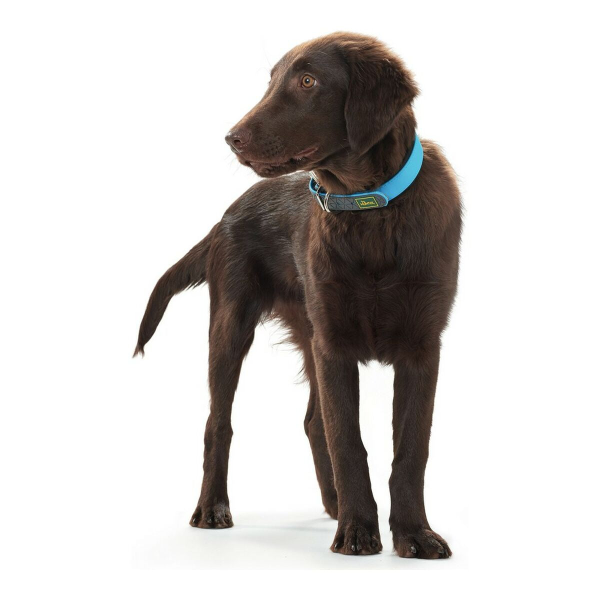 V10H99C8A3169F4CA43ED7F8A936E36C1A18R4032293P2