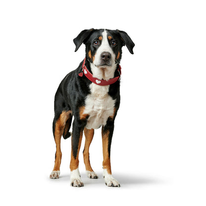 V9H7E0241711179D4AF9C5D4F3E2265C8EBR6574697P4