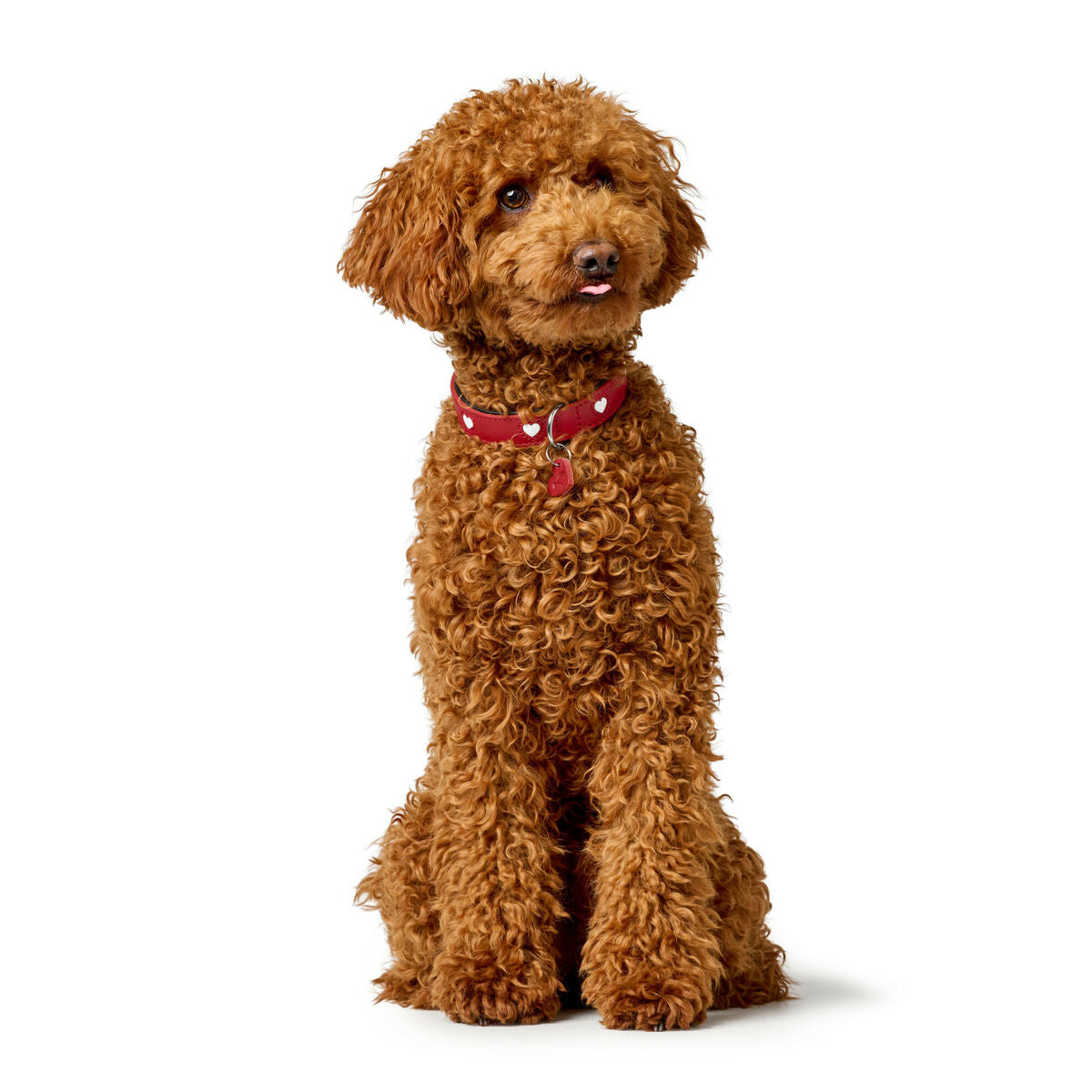 V8H1F04B3F56A8C9680F99788778057E3F6R6575310P6