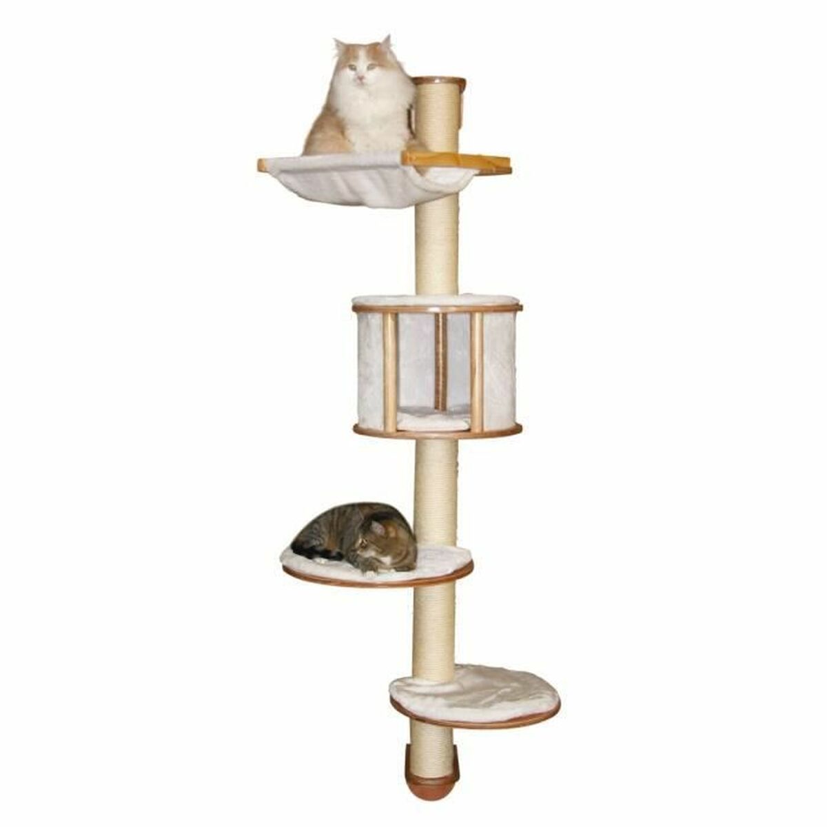 V12H9C9A02EF724604B698E06975E7A200EER6608373P1
