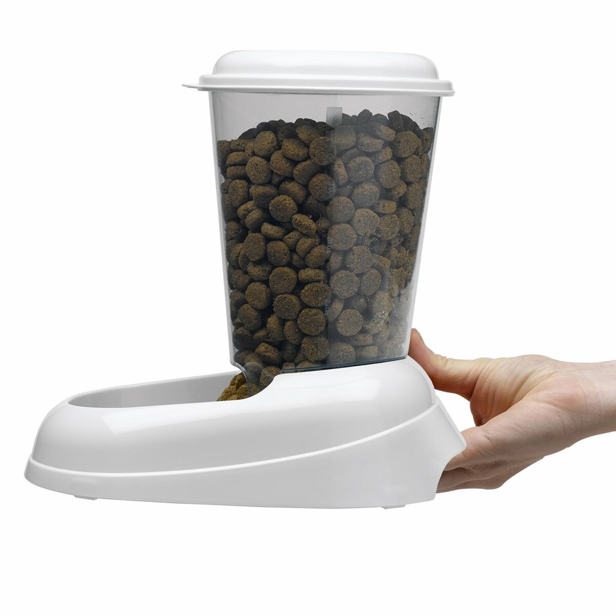 V13H2E9CCDA1B1979F11FE626C30A9F48C96R6689237P2