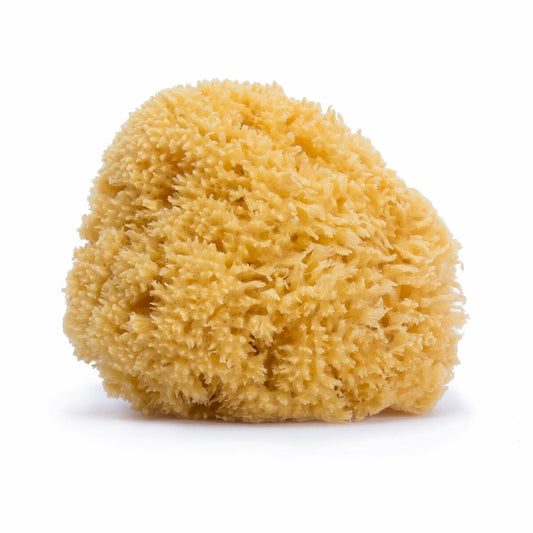 V9HF0C06F474F79BE6CA115C53848899979R4325878P1