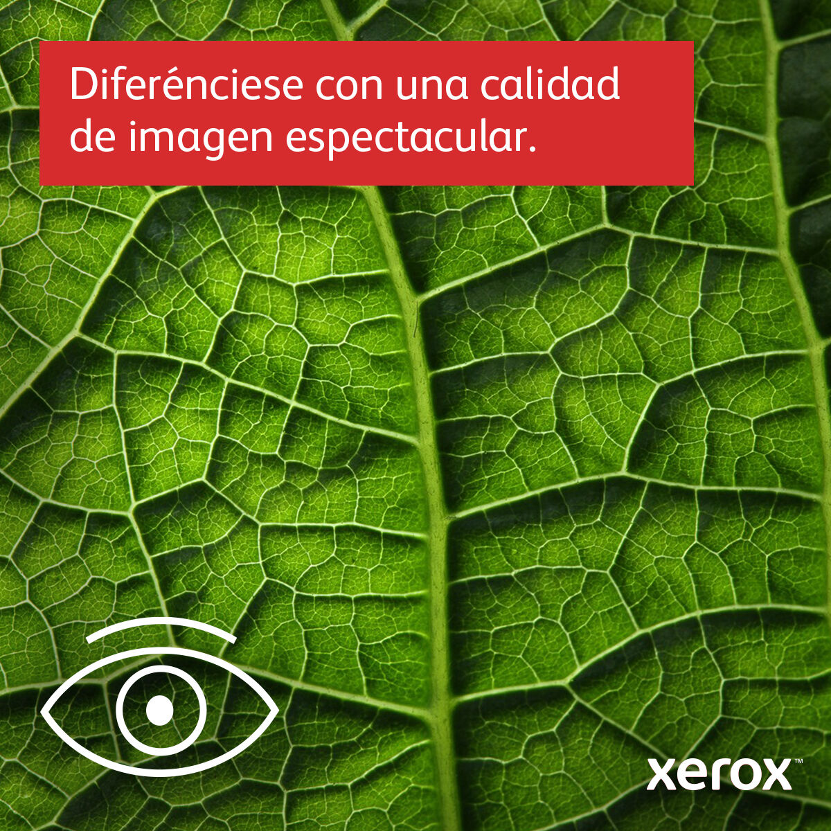 V6H795FF2B56EC230019ACFD74636F9EA56R4591510P5