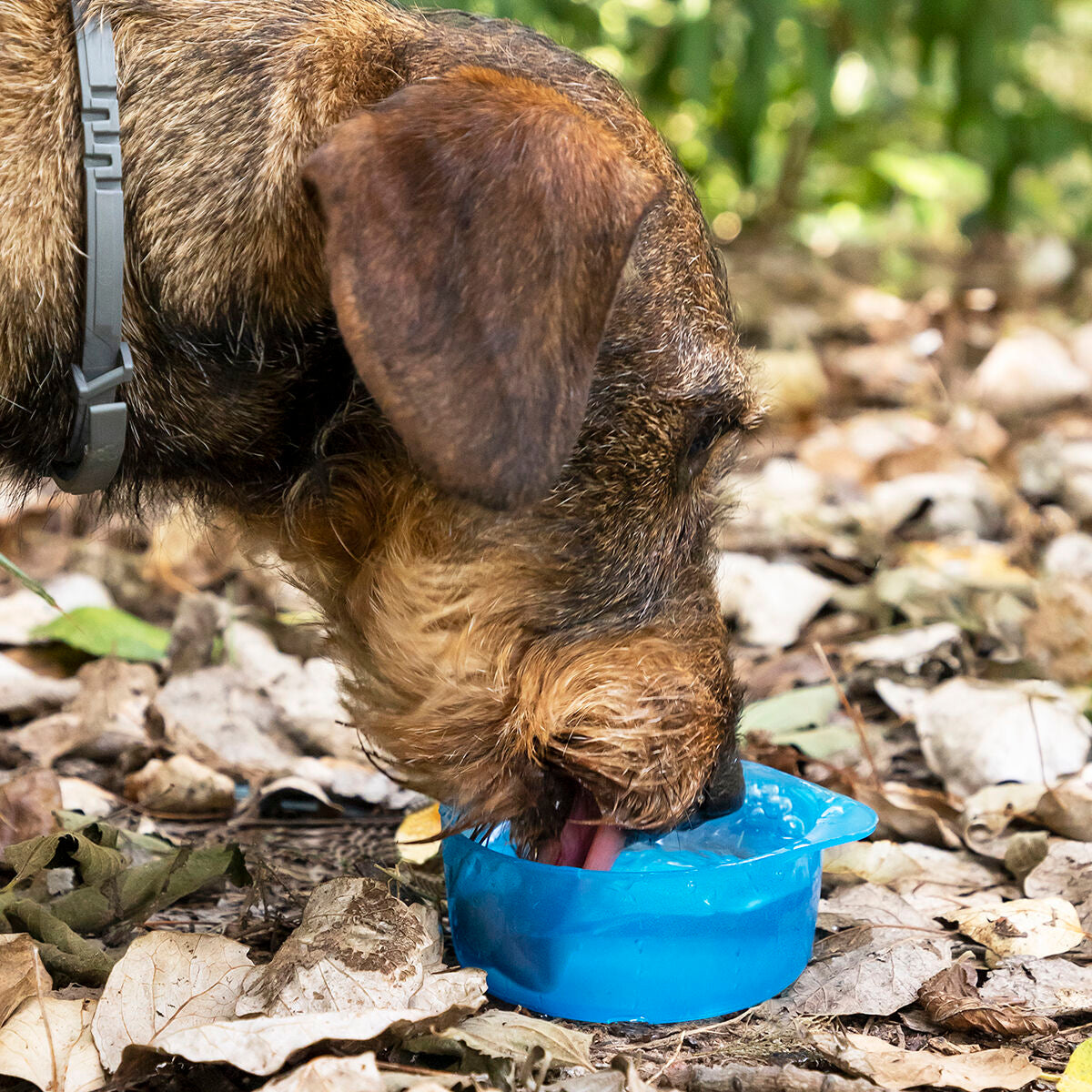 V15H33C011345958907CB41BFB483BDE5469R5274967P4