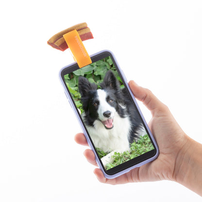 V14HA01C6B5A566C9F17F188462A37B9BF0ER5277010P6