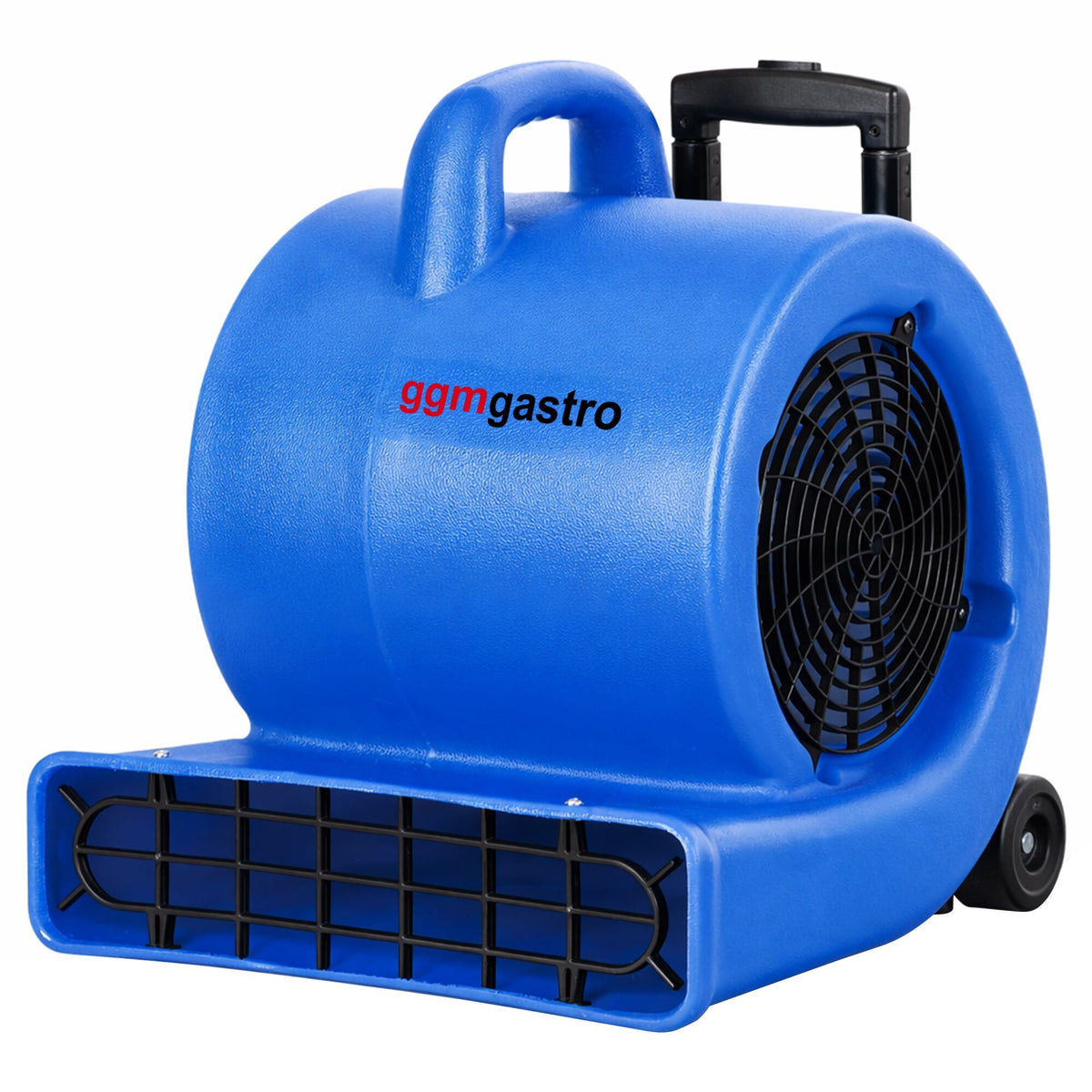 Commercial Floor Dryer 850W BTB3