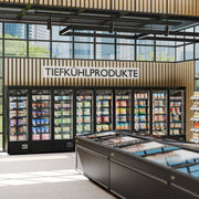 Commercial Display Freezer 700W 230V WTBL300