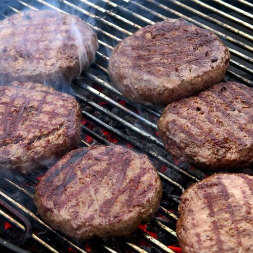 Manual Burger Press Plastic 80mm FHPGL44
