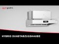 Commercial Kitchen Ventilation Hybrid Wall Canopy 1600mm HDHK1611#SET